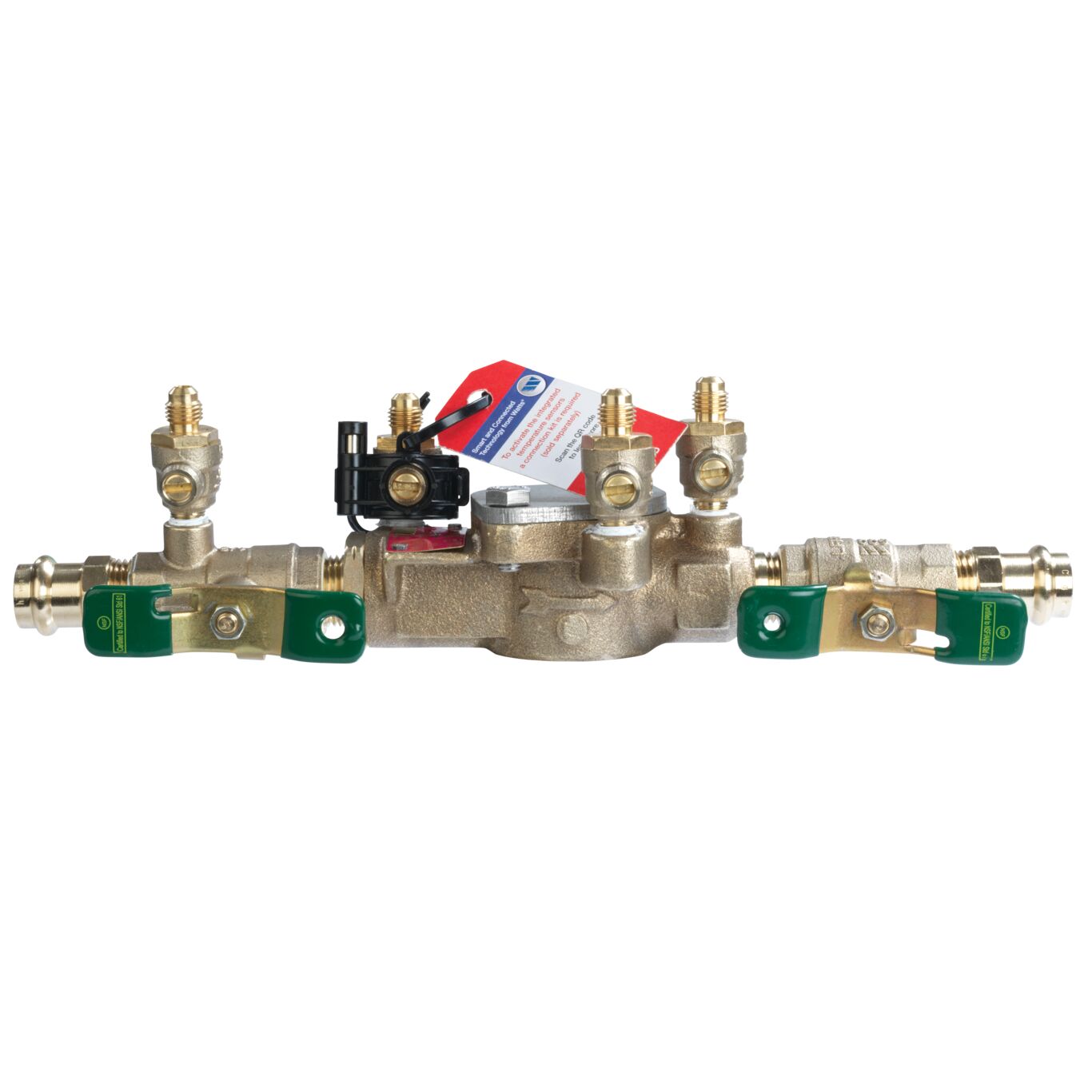 Product Image - backflow with freeze sensor